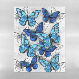 Composition of White and Blue Butterflies Magnetic Dry Erase Sheet