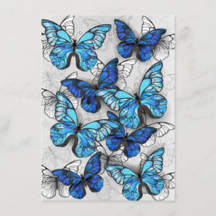 Composition of White and Blue Butterflies Menu