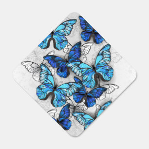 Composition of White and Blue Butterflies Metal Sign