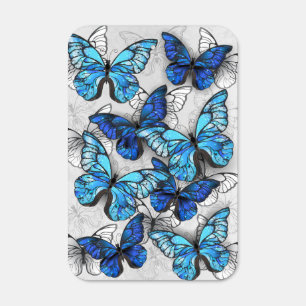Composition of White and Blue Butterflies Metal Sign