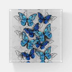 Composition of White and Blue Butterflies Paperweight