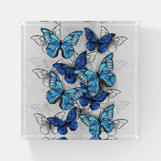 Composition of White and Blue Butterflies Paperweight (Front)