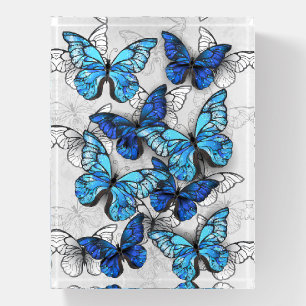 Composition of White and Blue Butterflies Paperweight