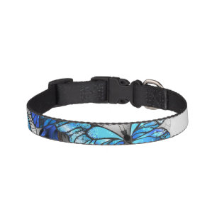 Composition of White and Blue Butterflies Pet Collar