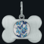 Composition of White and Blue Butterflies Pet ID Tag<br><div class="desc">Vertical composition of realistic,  blue and white morpho butterflies on gray textured background. Morpho blue butterfly.</div>