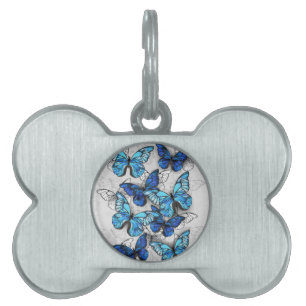 Composition of White and Blue Butterflies Pet ID Tag