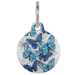 Composition of White and Blue Butterflies Pet ID Tag