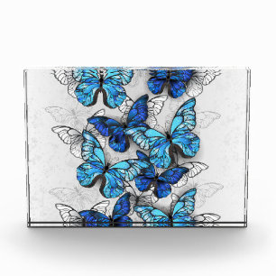 Composition of White and Blue Butterflies Photo Block