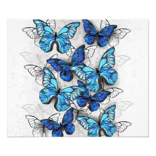 Composition of White and Blue Butterflies Photo Print (Front)