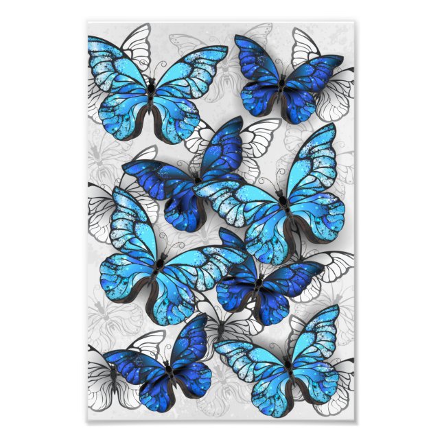 Composition of White and Blue Butterflies Photo Print (Front)