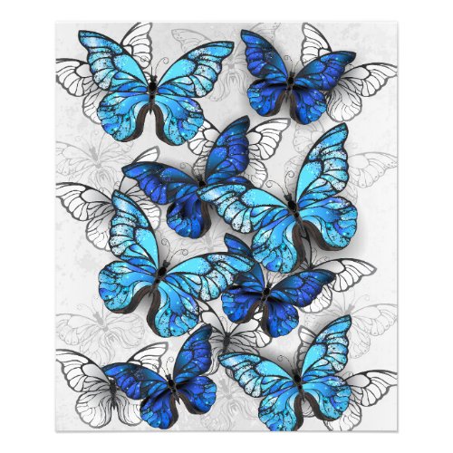 Composition of White and Blue Butterflies Photo Print