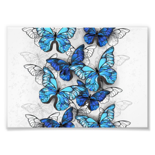 Composition of White and Blue Butterflies Photo Print (Front)