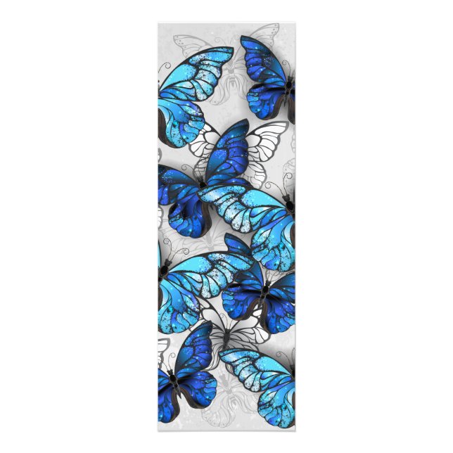 Composition of White and Blue Butterflies Photo Print (Front)