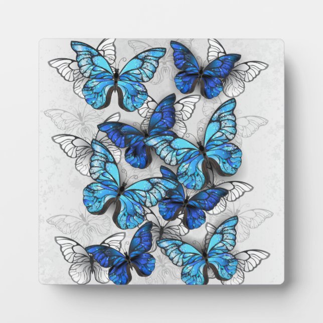 Composition of White and Blue Butterflies Plaque (Front)