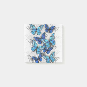 Composition of White and Blue Butterflies Post-it Notes