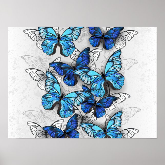Composition of White and Blue Butterflies Poster (Front)