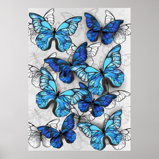 Composition of White and Blue Butterflies Poster (Front)