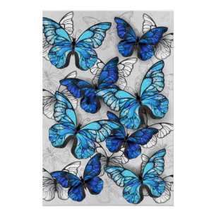 Composition of White and Blue Butterflies Poster