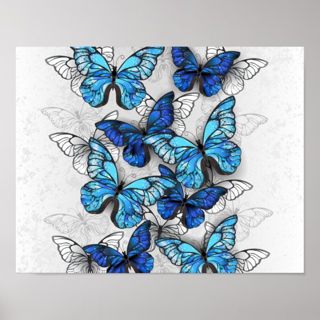 Composition of White and Blue Butterflies Poster (Front)
