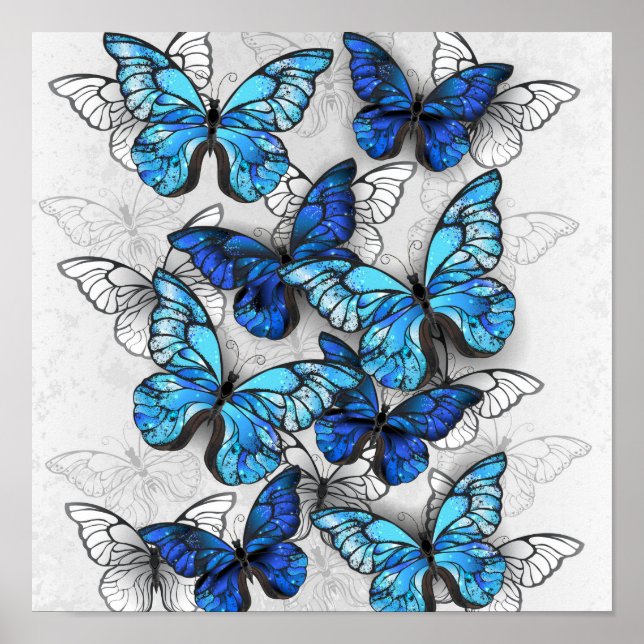 Composition of White and Blue Butterflies Poster (Front)