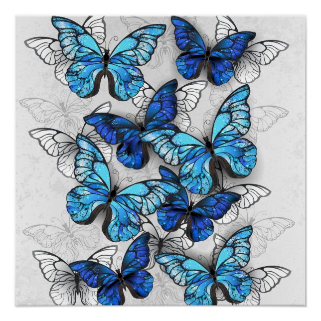 Composition of White and Blue Butterflies Poster (Front)