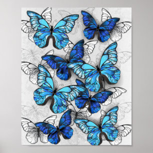 Composition of White and Blue Butterflies Poster