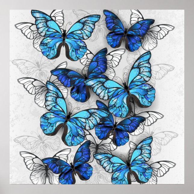 Composition of White and Blue Butterflies Poster (Front)