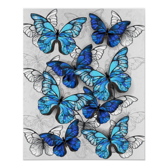 Composition of White and Blue Butterflies Poster (Front)