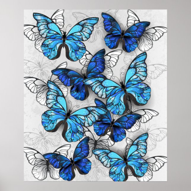 Composition of White and Blue Butterflies Poster (Front)