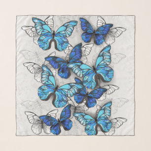 Composition of White and Blue Butterflies Scarf