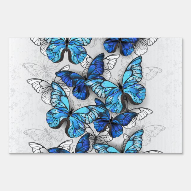 Composition of White and Blue Butterflies Sign (Front)