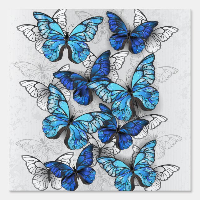 Composition of White and Blue Butterflies Sign (Front)