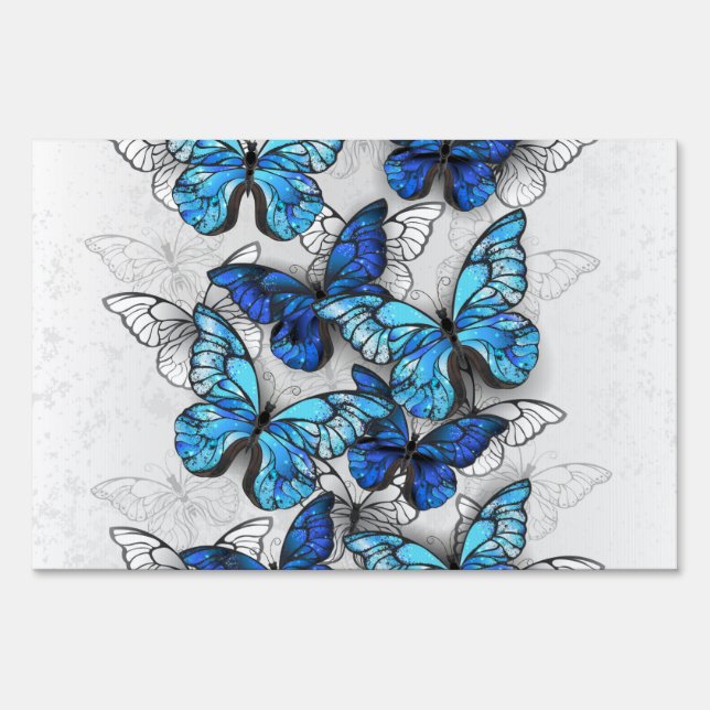 Composition of White and Blue Butterflies Sign (Front)