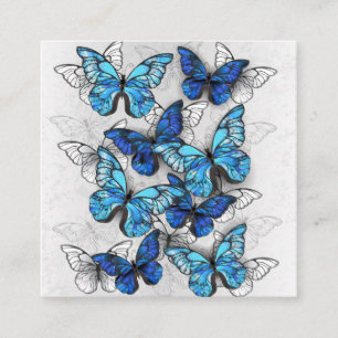 Composition of White and Blue Butterflies Square Business Card