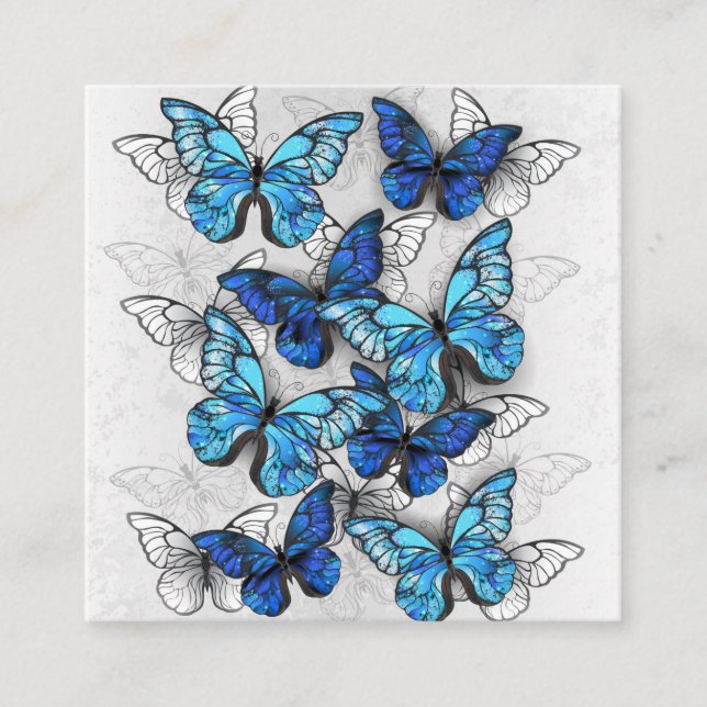 Composition of White and Blue Butterflies Square Business Card (Front)