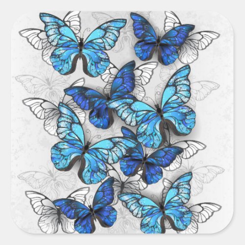Composition of White and Blue Butterflies Square Sticker