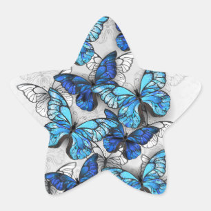 Composition of White and Blue Butterflies Star Sticker