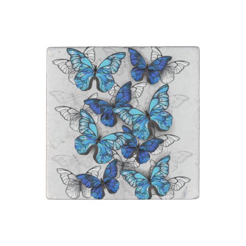 Composition of White and Blue Butterflies Stone Magnet