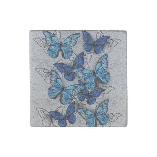 Composition of White and Blue Butterflies Stone Magnet (Front)