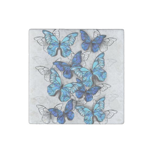 Composition of White and Blue Butterflies Stone Magnet