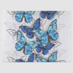 Composition of White and Blue Butterflies Tissue Paper