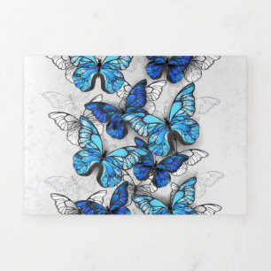 Composition of White and Blue Butterflies Tri-Fold Program