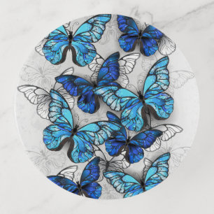 Composition of White and Blue Butterflies Trinket Tray
