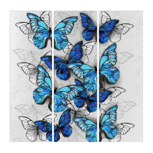 Composition of White and Blue Butterflies Triptych