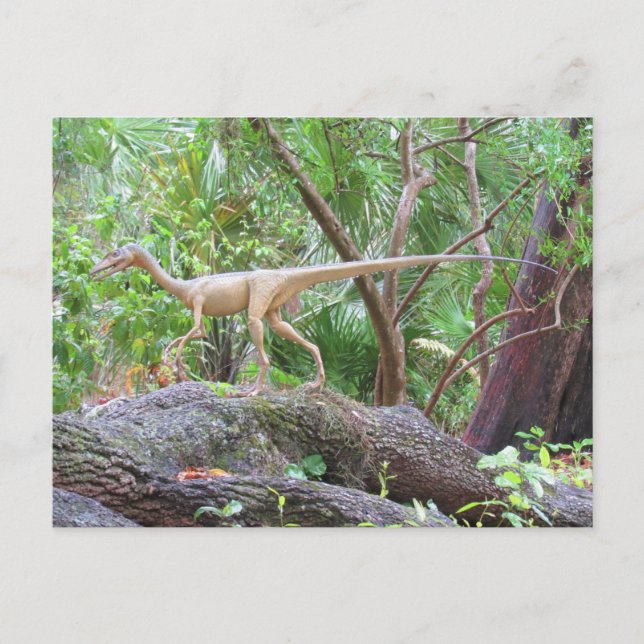 Compsognathus - Dinosaur - Learning Card (Front)