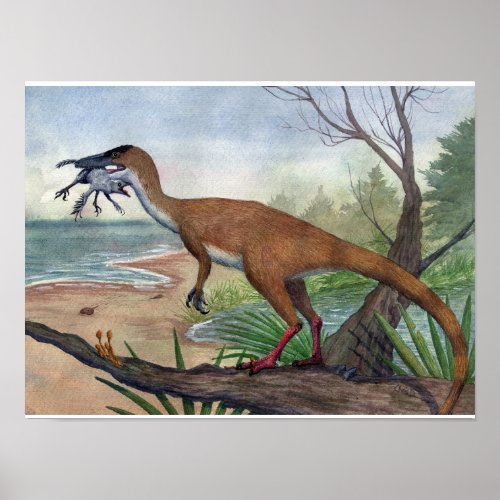 Compsognathus Print