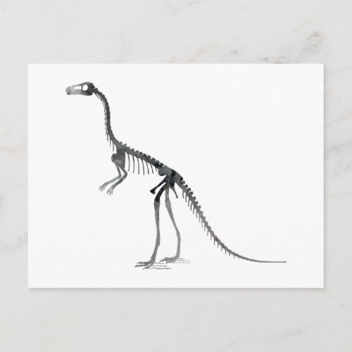 compsognathus skeleton postcard