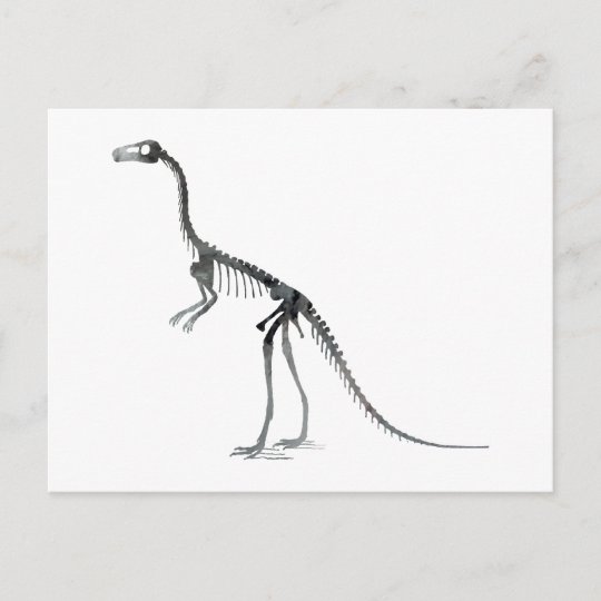 compsognathus skeleton