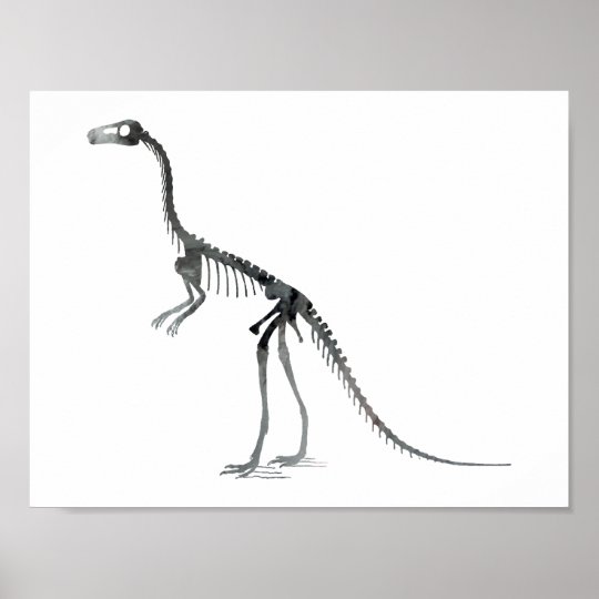 compsognathus skeleton