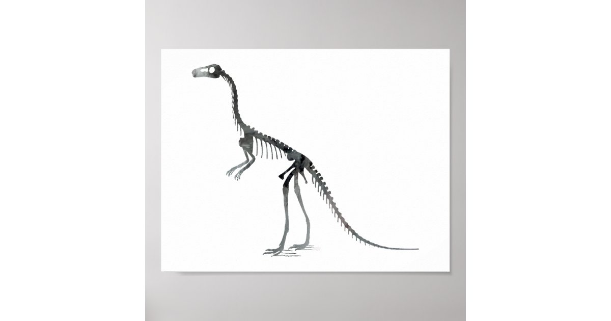 compsognathus bones